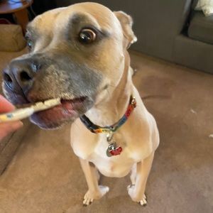 Meet your Posher, Toni